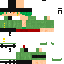 Roronoa Zoro skin