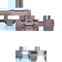 Rte skin