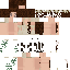 Sh1ne skin