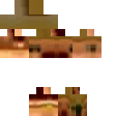 Shocked Toad #1 skin