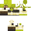 SHREK OR VILLAGER skin