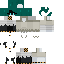 Snap (worker solver) skin