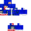 Sonic (Human version) skin