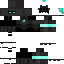 Soulvester dw skin