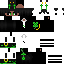 st Patrick's (mar 17, 2026) skin