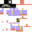 Supervizor skin
