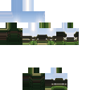 swamp biome skin