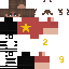 VN skin