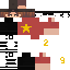 VN 2/9 skin