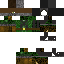 vylad ro'meave minecraft diaries s1 skin