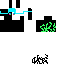woxelonZX skin