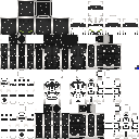 X1000 skin