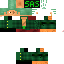 Zoro from One Piece skin