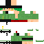Zoro v2 skin