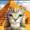 meow4715
