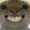 sheepm