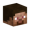 nikinok