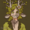 TheBirchDemiGod
