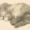 sofiaclose