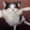 FlyingcatYT14